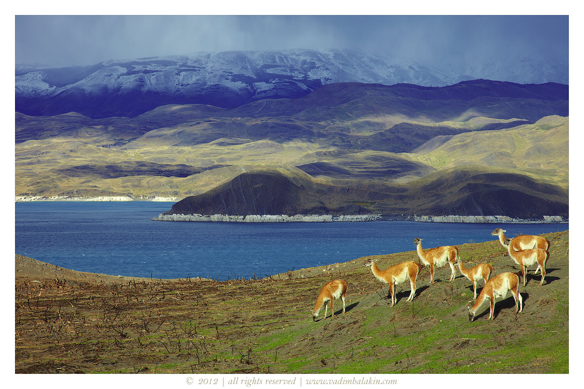 Torres del Paine