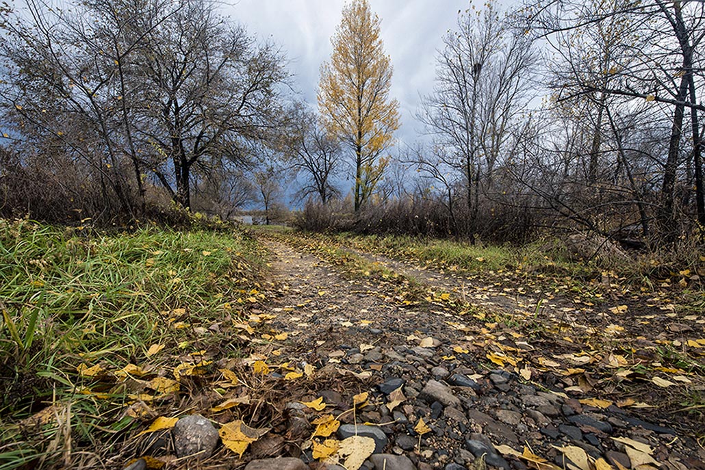 Осеннее