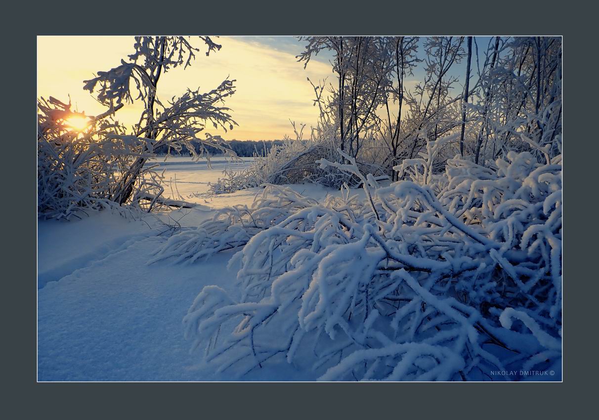 солнцеснег. январь 2019