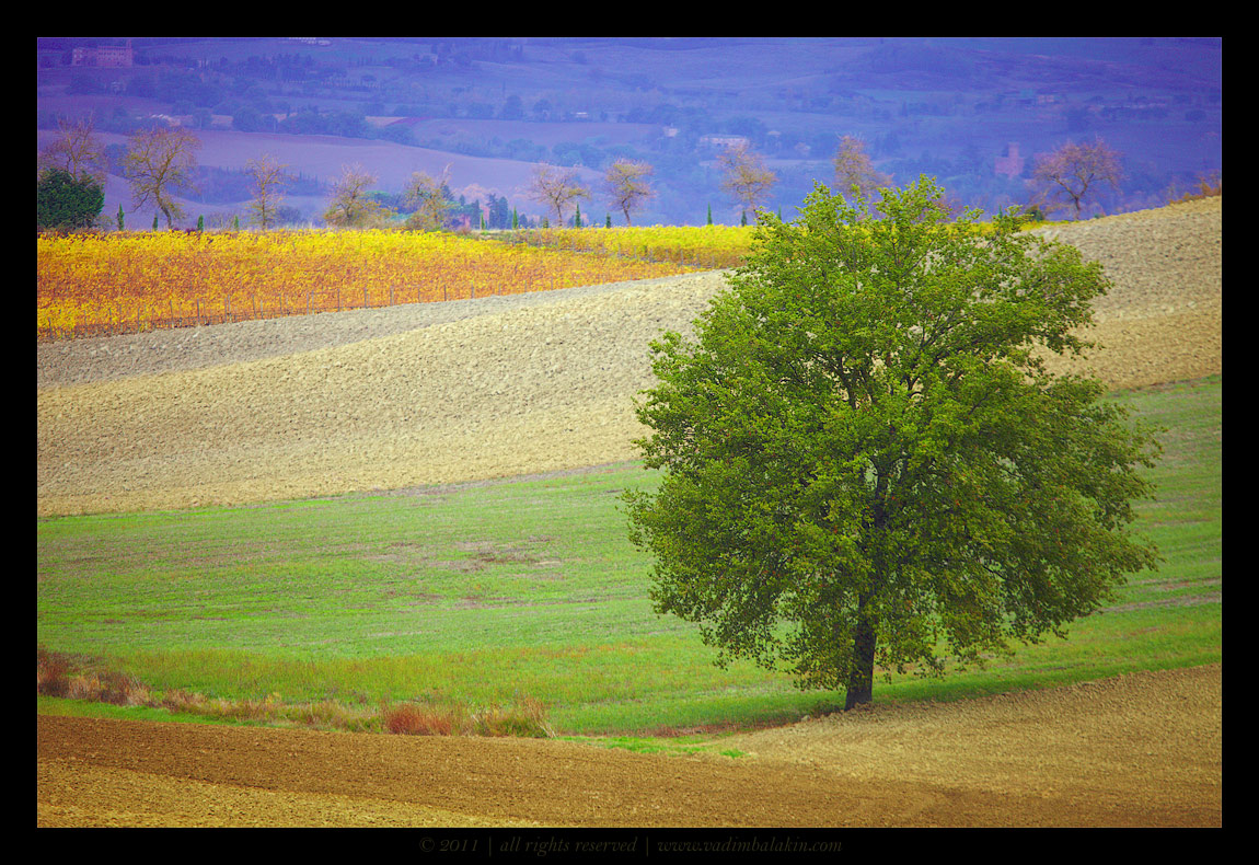 United Colors of Toscana