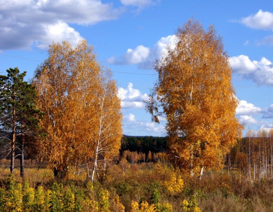 тёплая осень