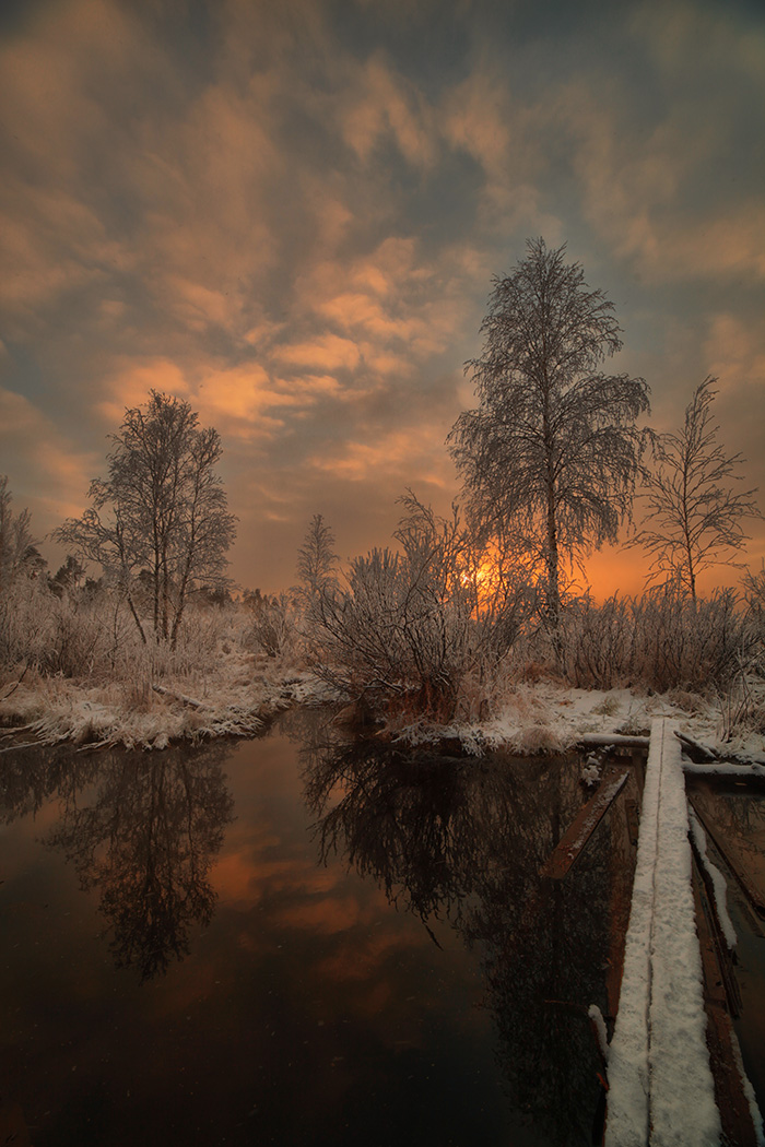 ...trail in winter