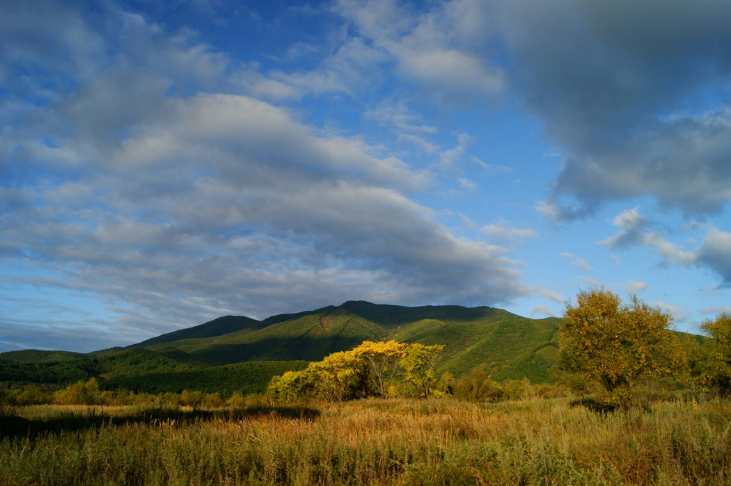 на закате