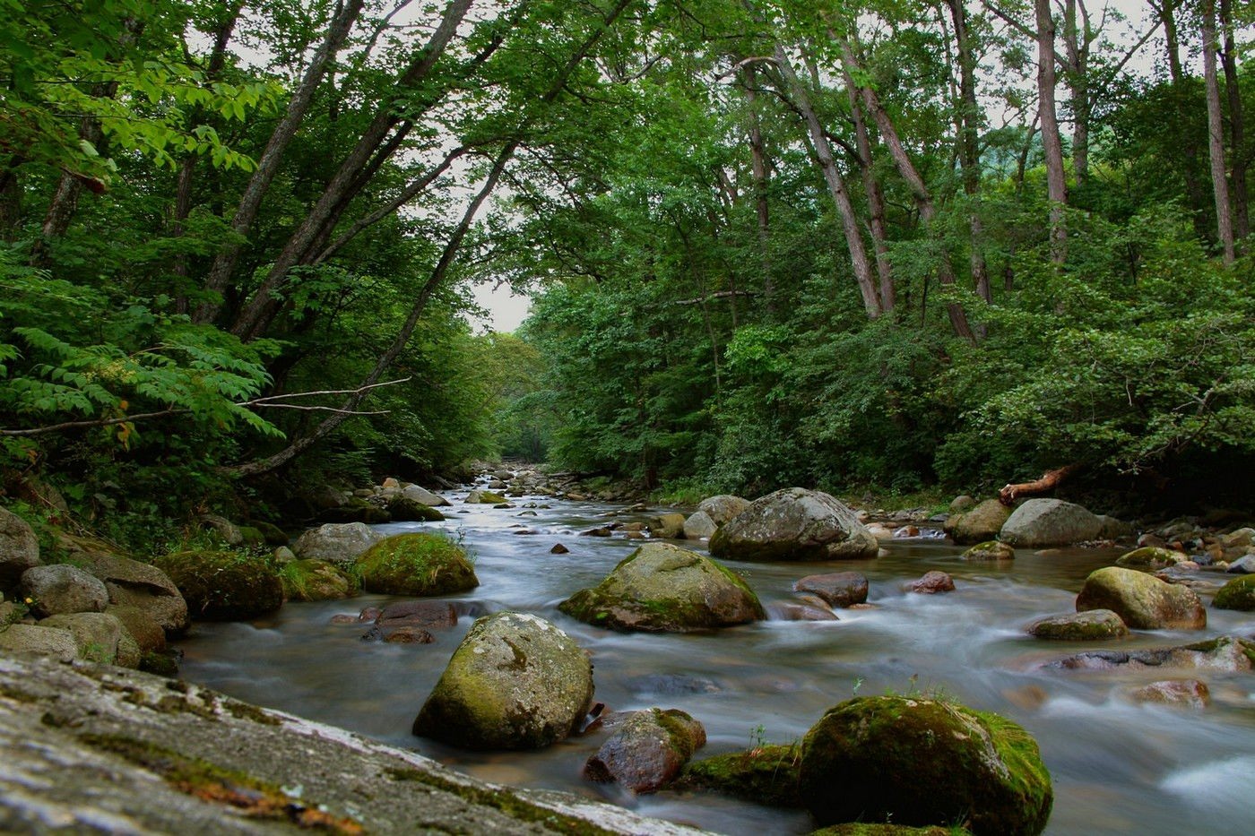 Крещенка