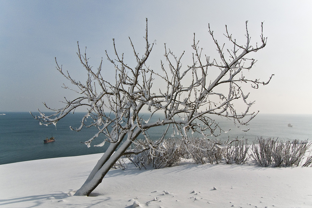 На краю земли(Берег).