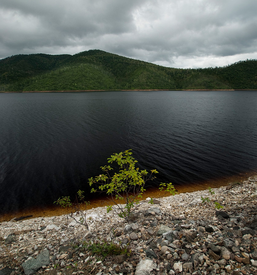 зея.черная вода