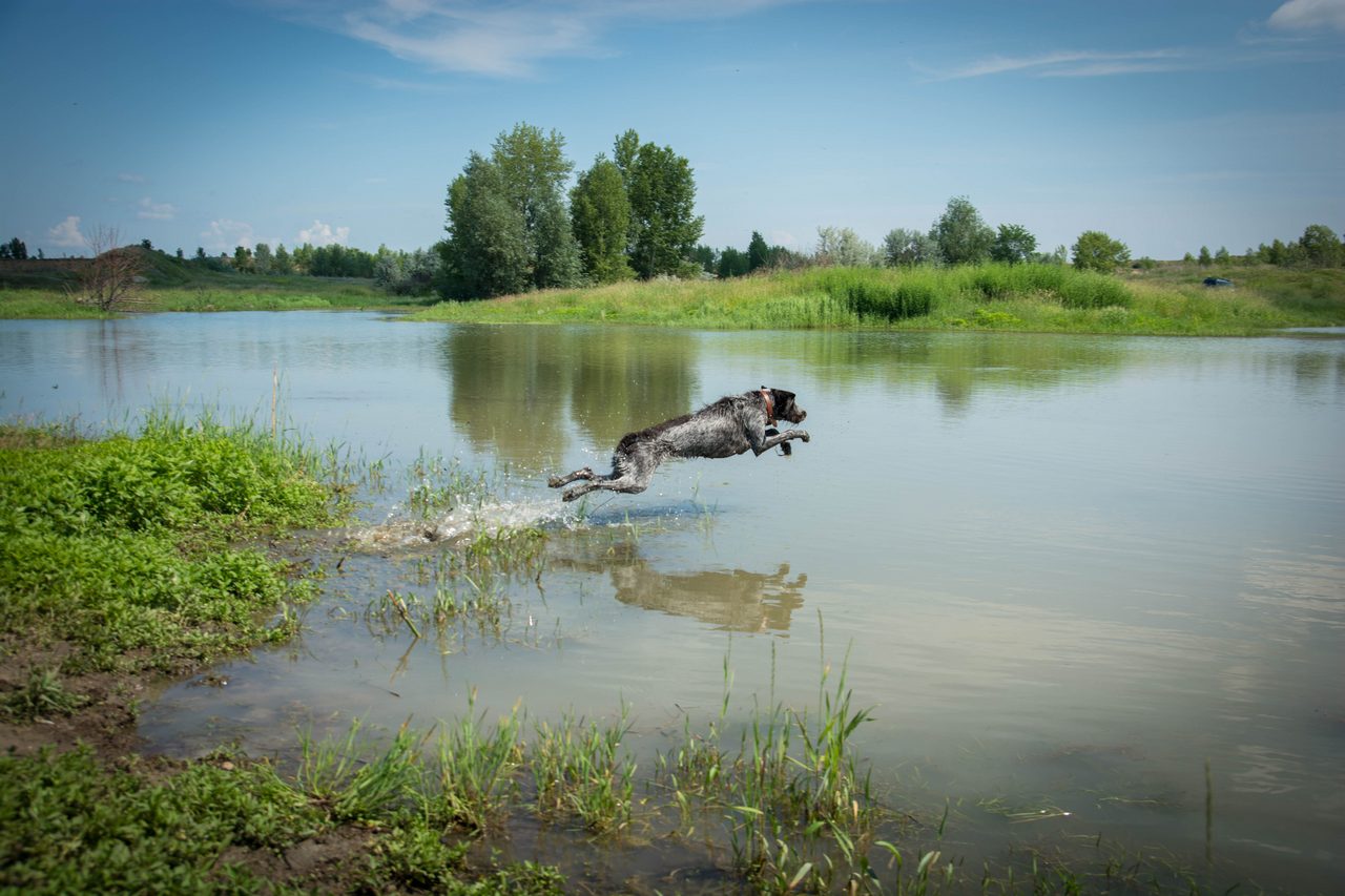 Полёт