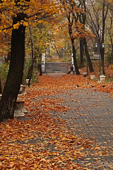 осень в городе