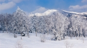 Снежное очарование Сахалина