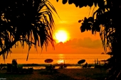Закат тропического солнца...