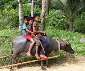 Филиппинские мальчишки едут с поля домой
