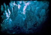 Туманный мир кристаллов